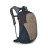 Рюкзак Osprey Daylite 13 Camping Print Chestnut Tan