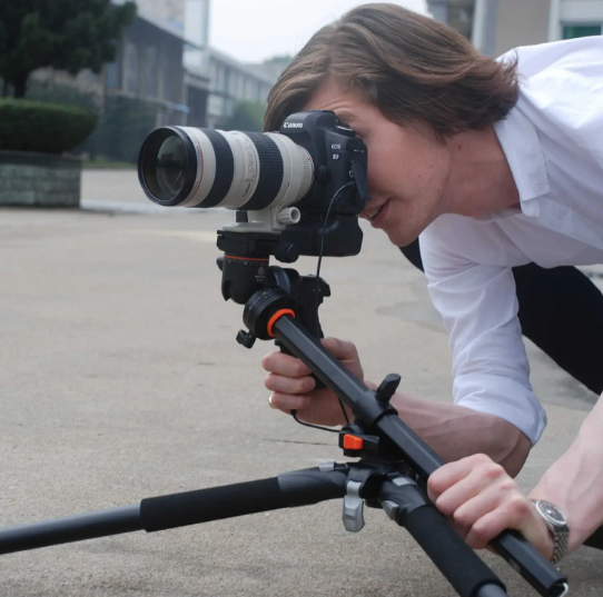 Штатив Vanguard Alta Pro 263agh (Alta Pro 263agh) 