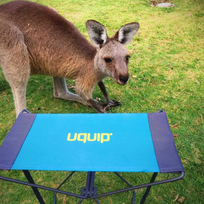 Стілець розкладний Uquip Fancy Blue/Grey (244017) 