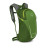 Рюкзак Osprey Daylite 13 Granny Smith Green