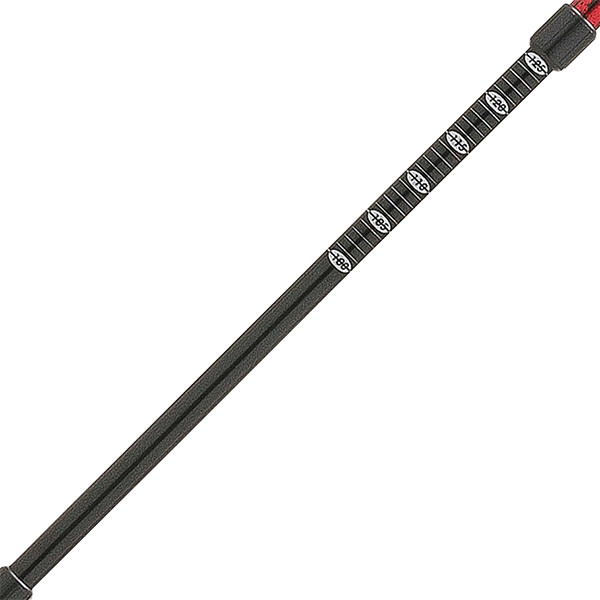 Трекінгові палиці Ferrino GTA Red 