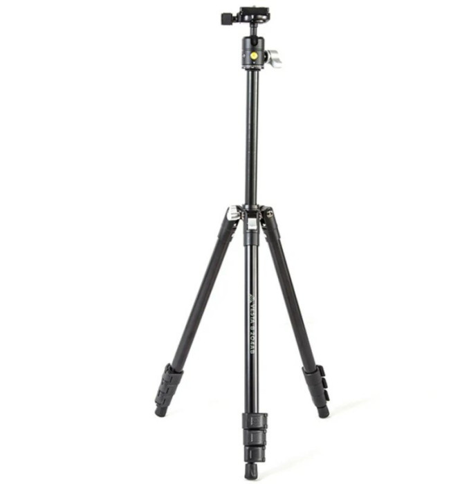 Штатив Vanguard Vesta FB 204ab (Vesta FB 204ab) 