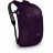 Рюкзак Osprey Daylite Travel 24 Amulet Purple