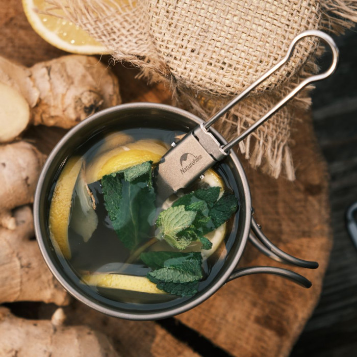 Ложко-виделка титанова складана Naturehike NH19C001-J сіра з мішечком 