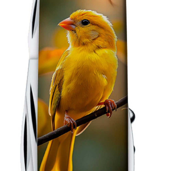 Складаний ніж Victorinox SPARTAN UKRAINE Золота пташка 