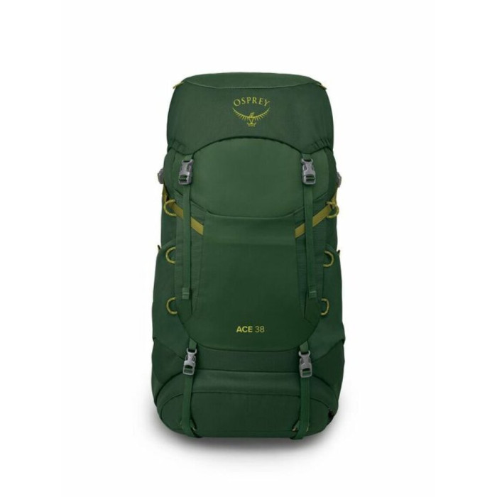 Рюкзак Osprey Ace 38 green canopy - O/S - зелений 