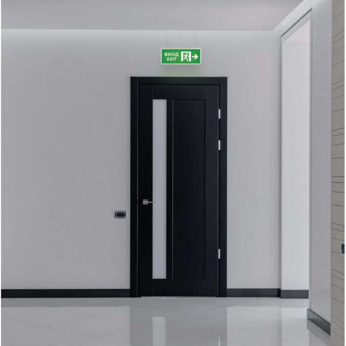 LED світильник аварійний ВИХІД ЗІ СТРІЛКОЮ двосторонній TITANUM TL-EM101-D 