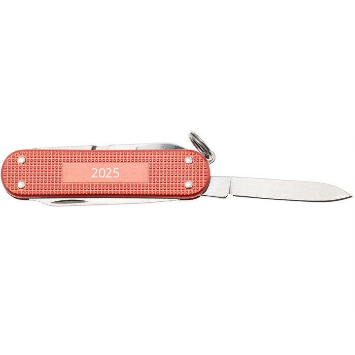 Складной нож Victorinox CLASSIC SD Stone Red 0.6221.L25  
