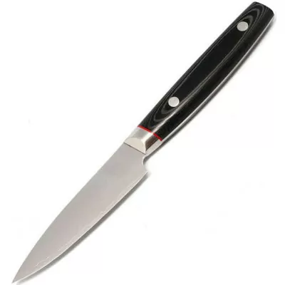 Нож кухонный Kanetsugu Saiun Paring Knife 90mm (9000)