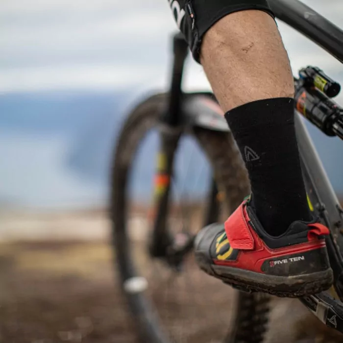 Термоноски Aclima Liner Socks 40-43  