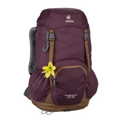 Рюкзак Deuter Zugspitze SL, 22 л, aubergine-lion