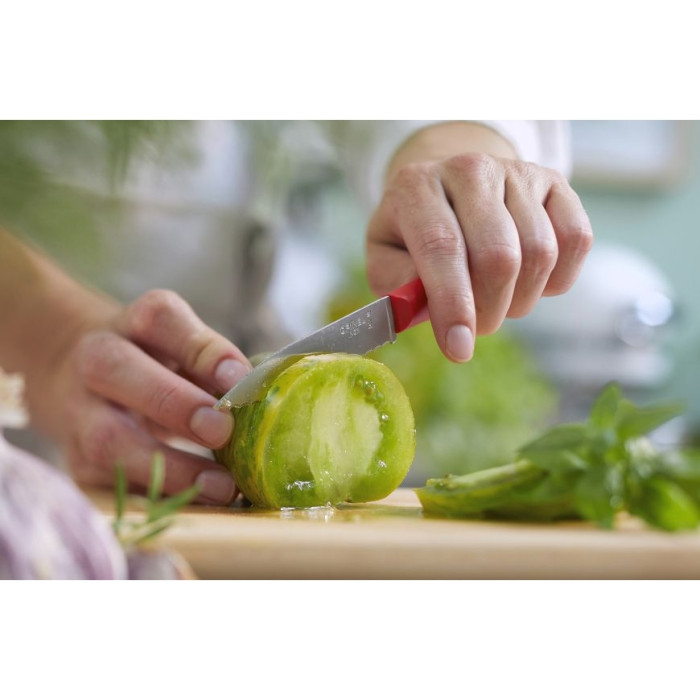 Нож кухонный Opinel №313 Serrated, красный  