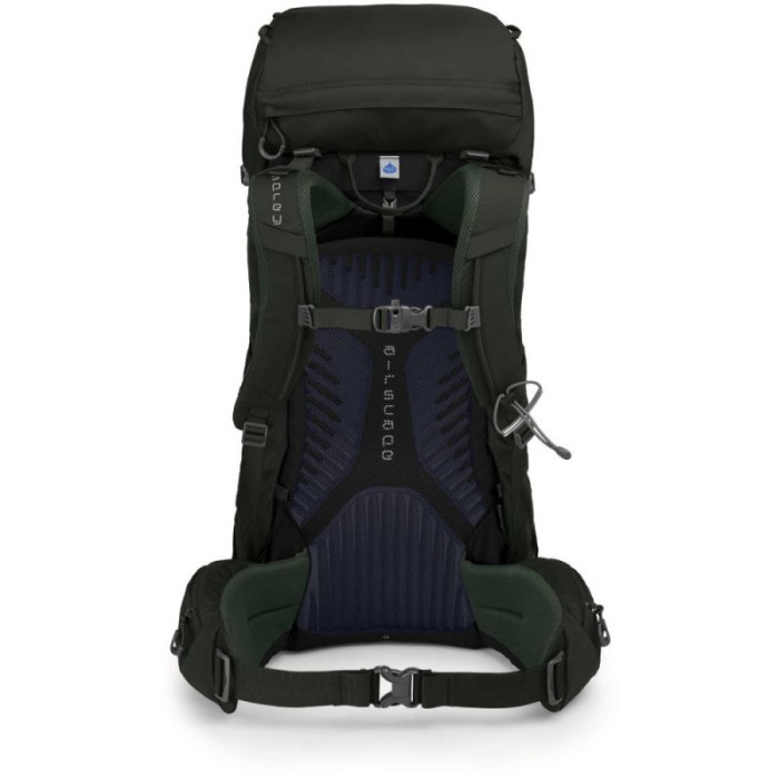 Рюкзак Osprey Kestrel 38 Picholine  