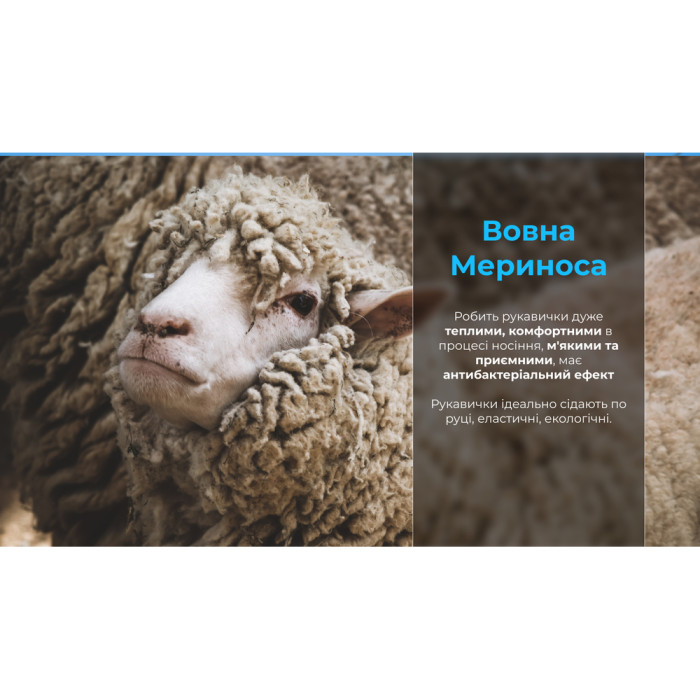 Водонепроницаемые перчатки DexShell ThermFit Gloves DG326TS-BO, L  