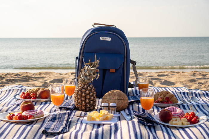 Пикниковый набор Кемпинг Easy go  