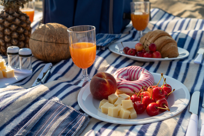 Пикниковый набор Кемпинг Easy go  