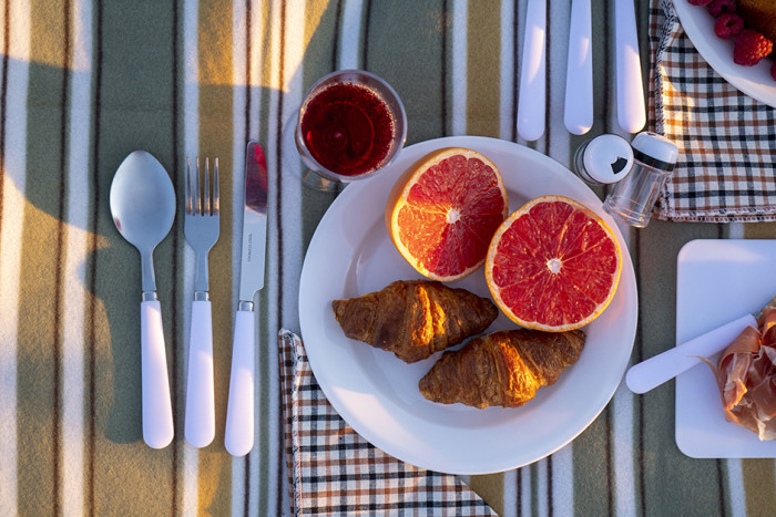 Пикниковый набор Кемпинг Family bag  