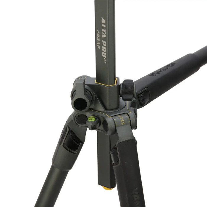 Штатив Vanguard Alta Pro 2+ 263AP (Alta Pro 2+ 263AP)  