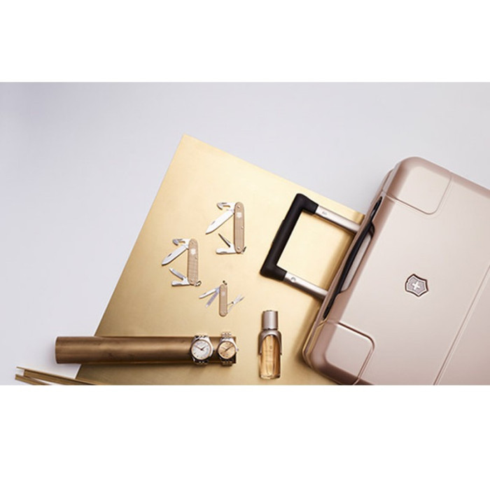 Чемодан на 4 колесах Victorinox Travel Lexicon/Champagne Gold L 105 л (Vt606783)  