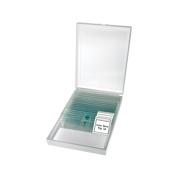 Микроскоп Bresser Erudit Basic Bino 40x-400x  