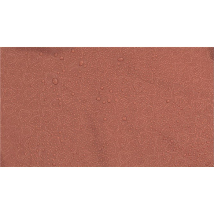 Палатка ROBENS Arrow Head  