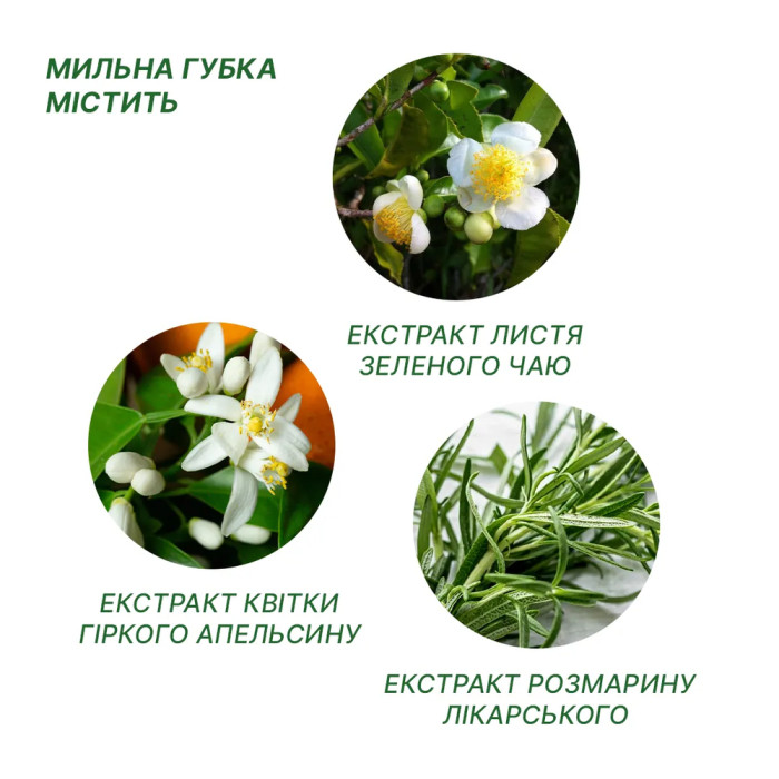 Одноразовый Сухой Душ Estem Comfort (Пенная губка + полотенце)  