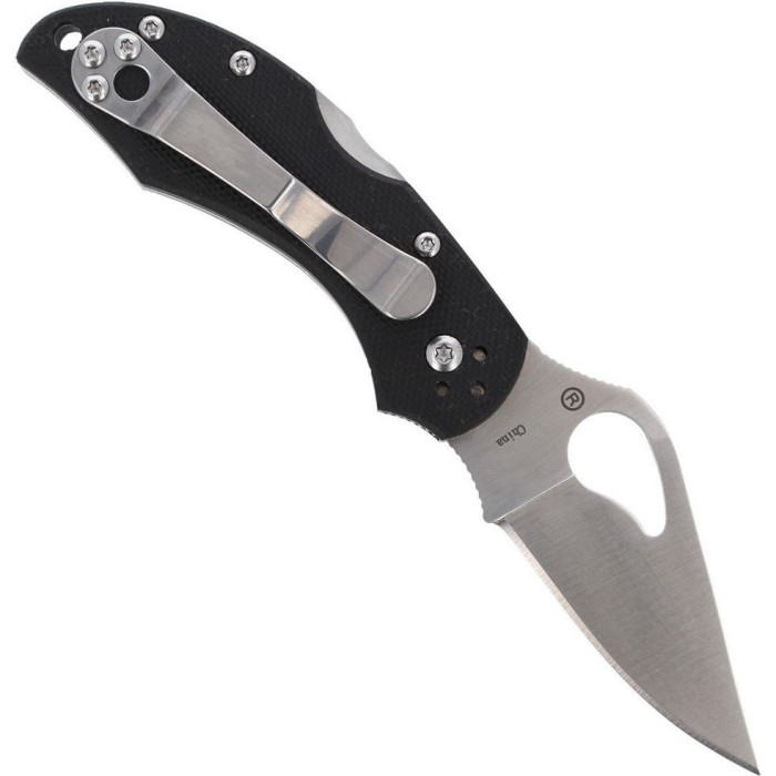 Нож Spyderco Byrd Robin 2, G-10 (BY10GP2)  