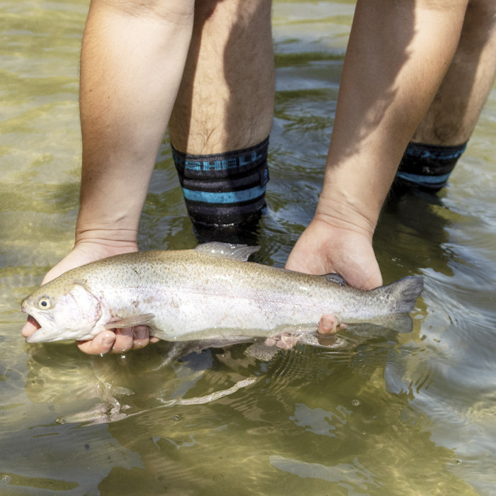 Водонепроницаемые носки DexShell Ultra Dri Sports Socks DS625WAB, S  