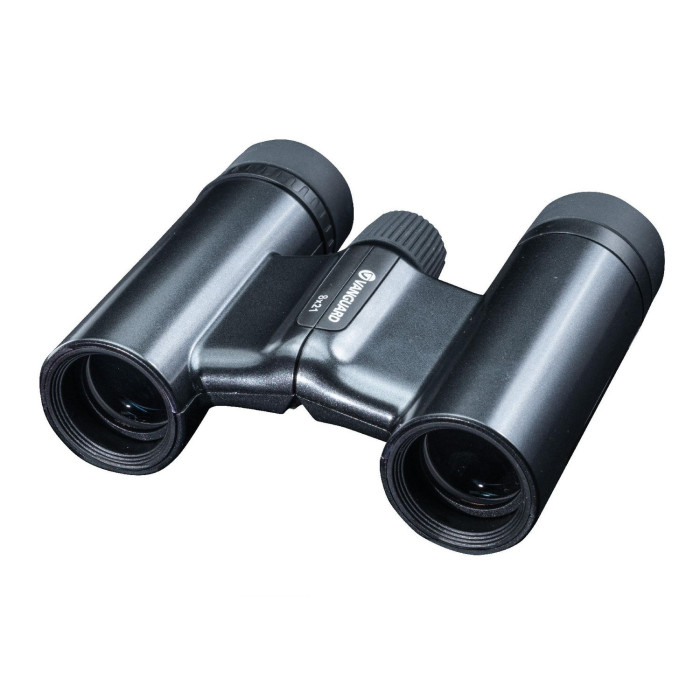 Бинокль Vanguard Vesta Compact 8x21 WP Black Pearl (Vesta 8210 BP) 