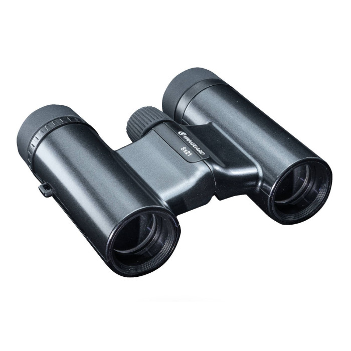 Бинокль Vanguard Vesta Compact 8x21 WP Black Pearl (Vesta 8210 BP)  