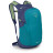 Рюкзак Osprey Daylite blue spikemoss/alkaline - O/S - синий/бирюзовый