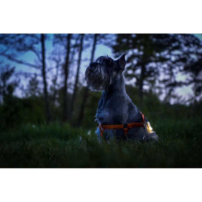 Фонарь-брелок Armytek Zippy, 160 люмен, серый  