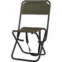 Складной стул Time Eco Р-22 со спинкой (Зеленый)