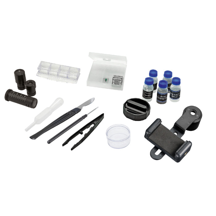 Микроскоп Bresser Junior Biolux 40x-2000x  