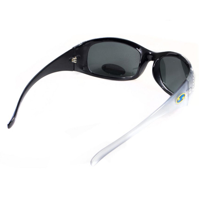 Очки BluWater Biscayene Silver Polarized (gray) черные  