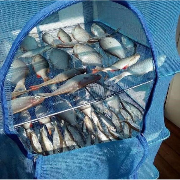 Сетка для сушки Ranger Easyall-5 35x35x55 (Арт. RA 8809)  