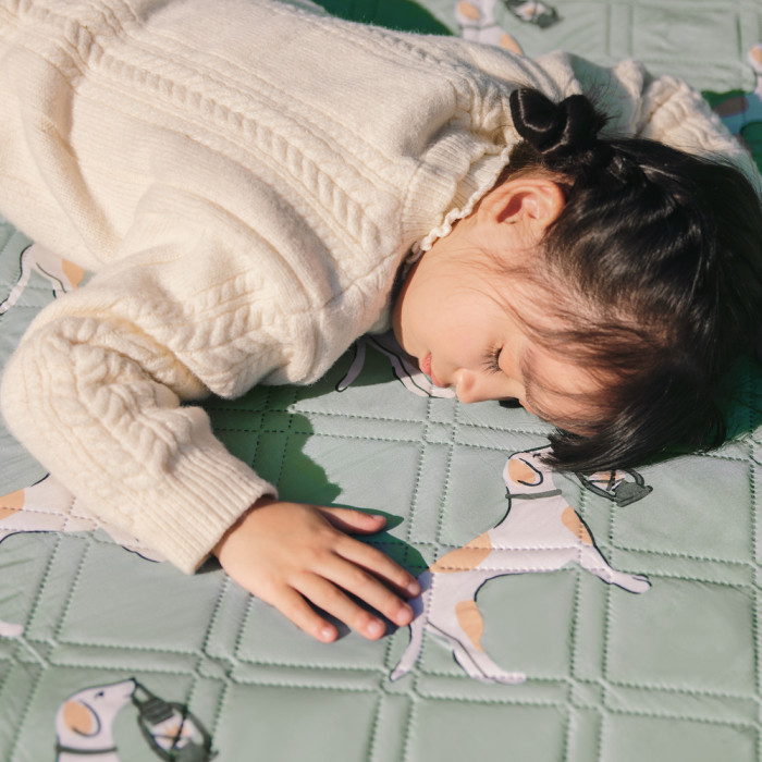 Коврик для пикника Naturehike CNK2350WS010 210*240 см, голубой с принтом  