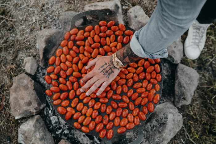 Подставка для жарки и костра 2-в-1 Petromax Griddle and Fire Bowl 48 см  