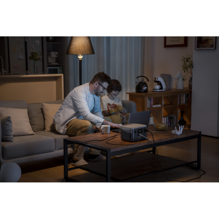 Зарядная станция EcoFlow River 2, 300W  