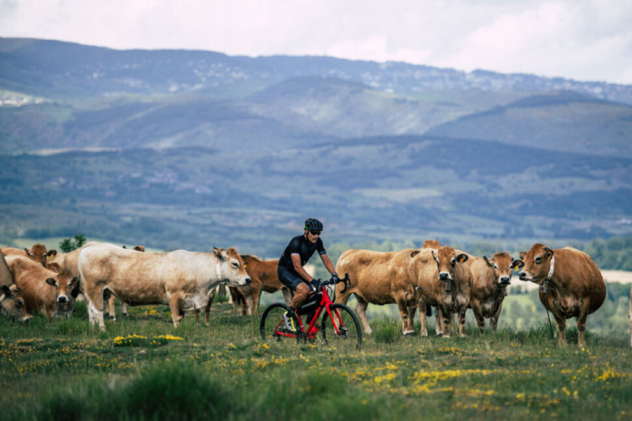 Велосипед Merida 2021 silex + 6000 l (53) matt anthracite(glossy black)  