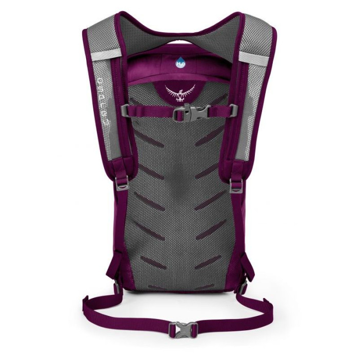 Рюкзак Osprey Daylite 16, фиолетовый  
