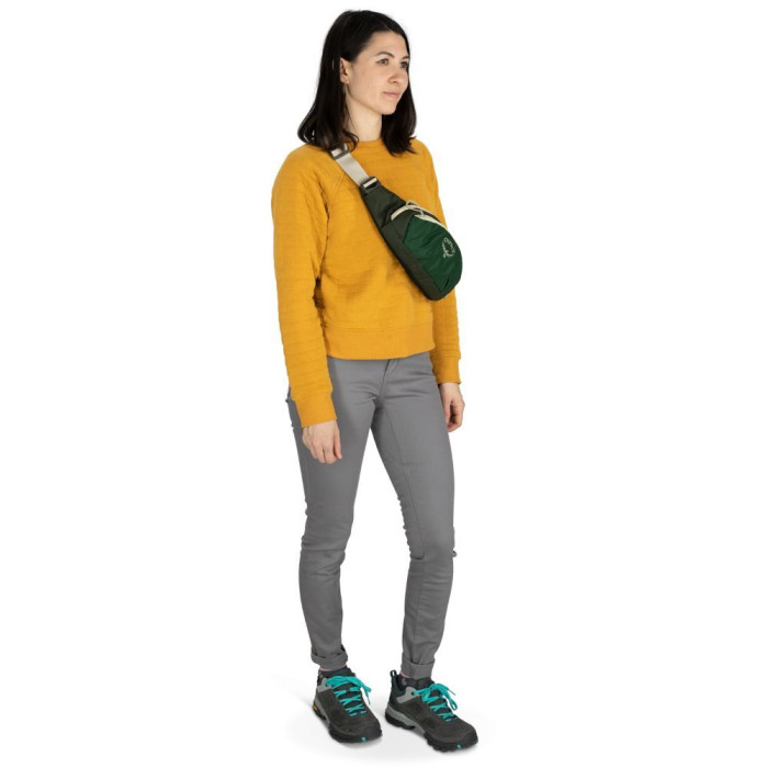 Поясная сумка Osprey Daylite Waist green belt/green canopy - O/S - зеленый  