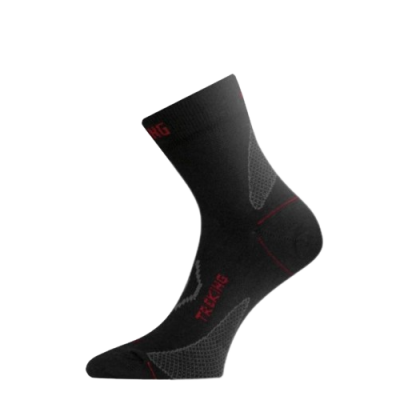 Термоноски трекинг Lasting TNW 620 - XL - серый