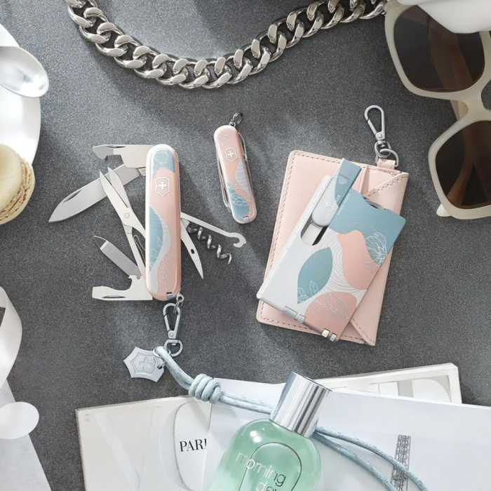 Складной нож Victorinox CLASSIC SD Paris Style 0.6223.E221  