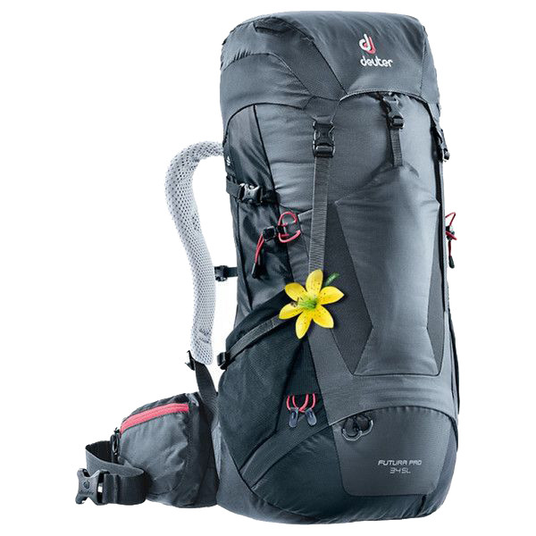 Рюкзак Deuter Futura PRO 34 SL graphite-black  