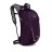 Рюкзак Osprey Daylite 13 Amulet Purple