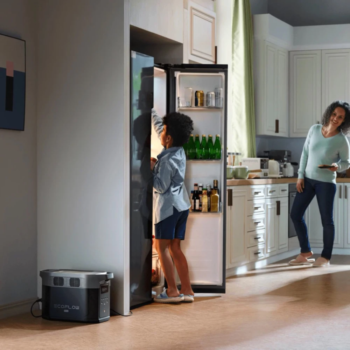 Зарядная станция EcoFlow Delta 2 MAX, 2400W  