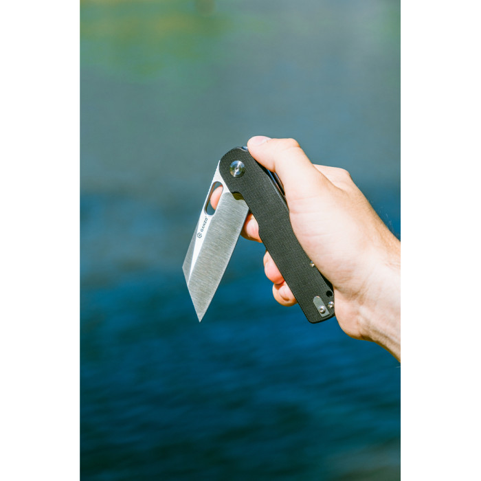 Нож складной Ganzo G770-BK  