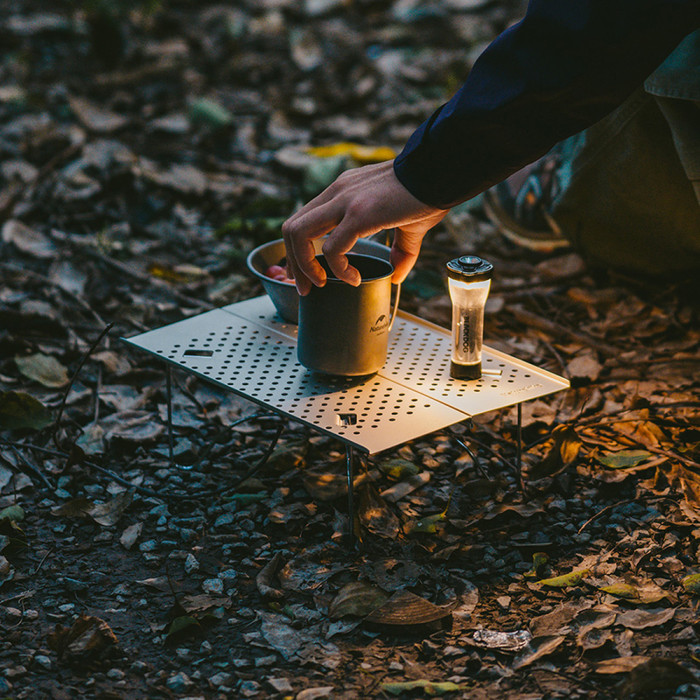 Складной стол Naturehike CNK2450JJ024, 31х21 см, алюминий, серый  