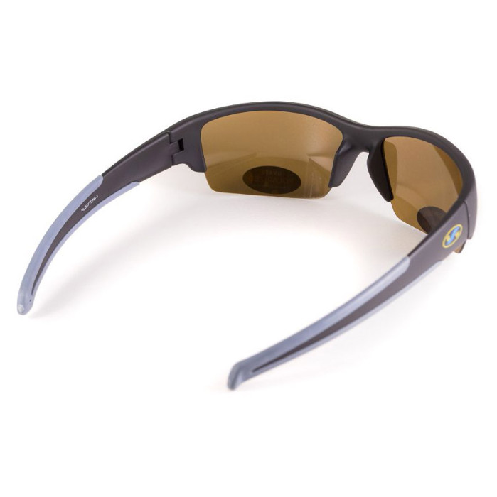 Очки BluWater Daytona-2 Polarized (brown) коричневые  